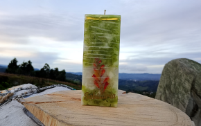 Vela cuadrada verde de parafina con hojas secas incrustadas