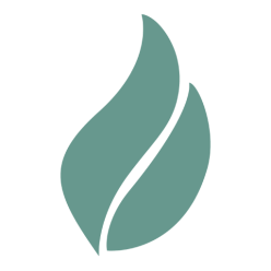 Icono de hoja verde representando sostenibilidad y naturaleza