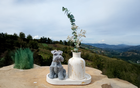 Arreglo decorativo con vela y figura en yeso sobre base natural